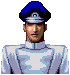 私設警官
