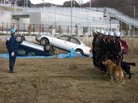 神奈川県警関東管区機動隊合同訓練 - A.W.D.S.A.災害救助犬神奈川 公式HP - atwiki（アットウィキ）