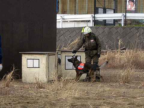 神奈川県警関東管区機動隊合同訓練 - A.W.D.S.A.災害救助犬神奈川 公式HP - atwiki（アットウィキ）