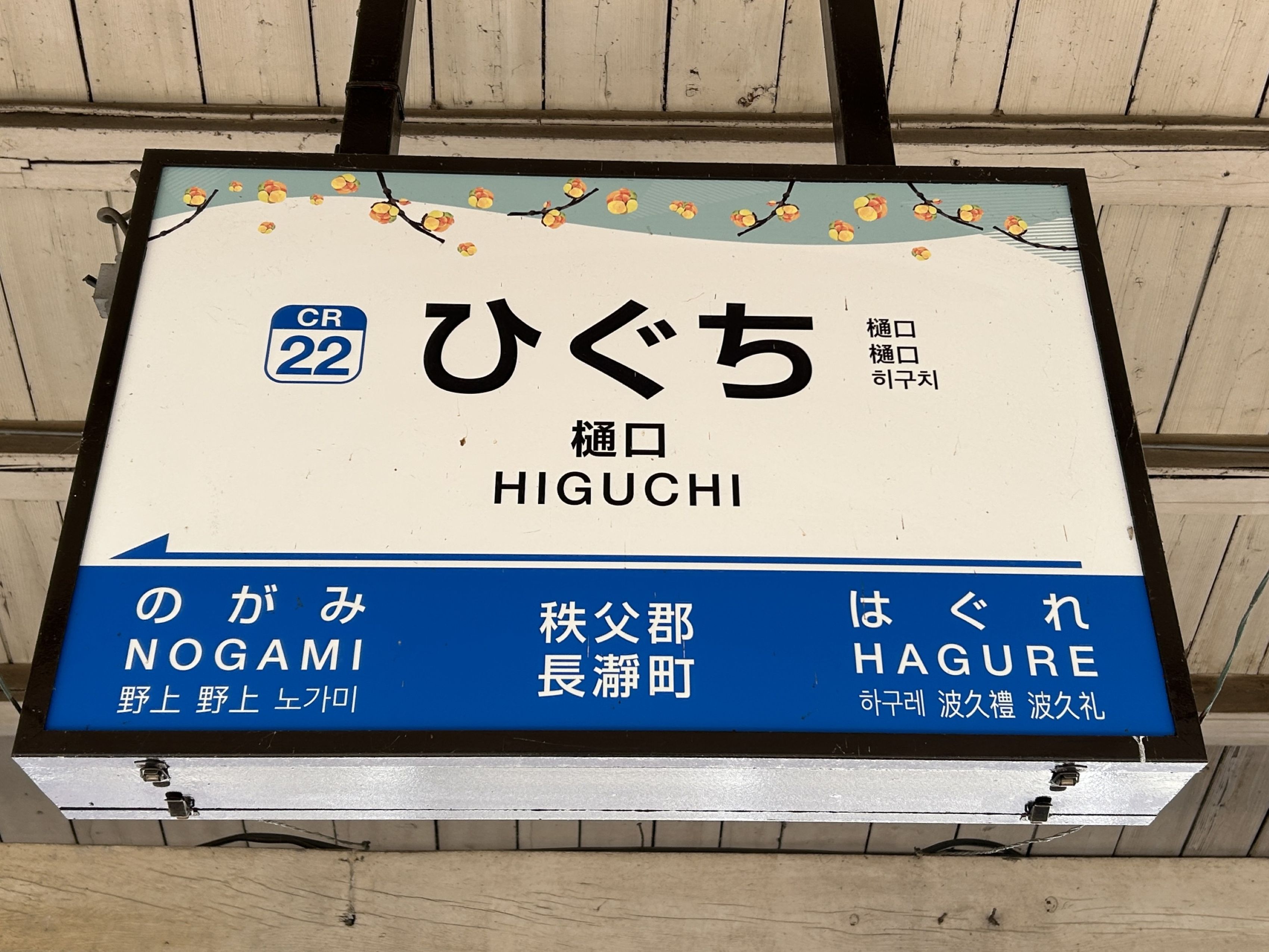 Higuchi1.JPG