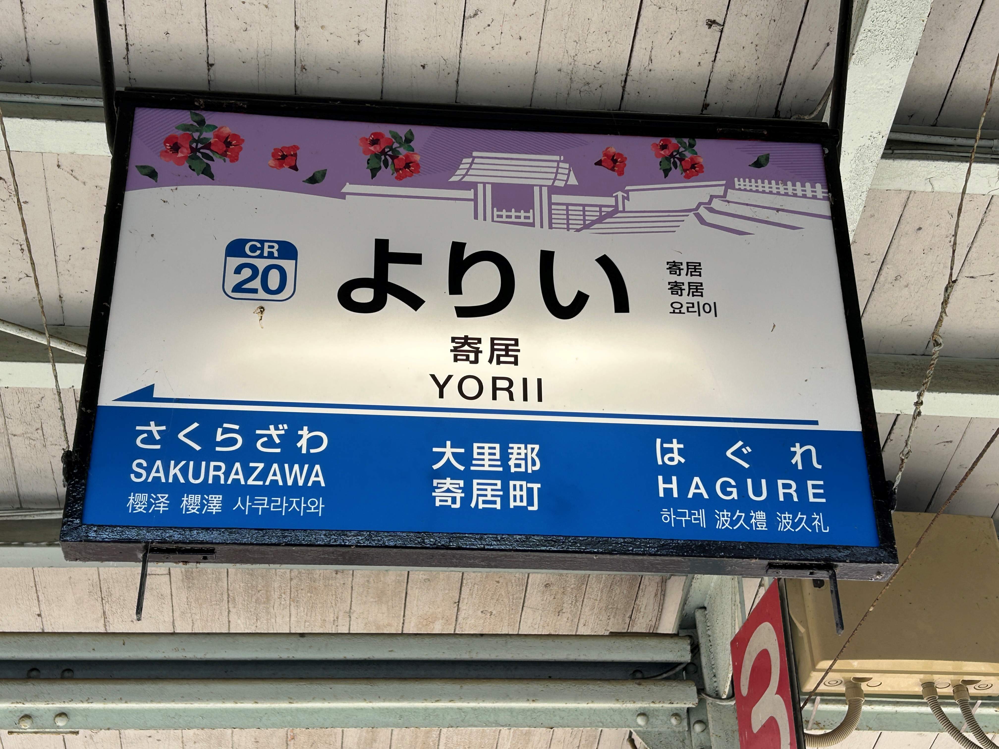 CTK_Yori.JPG