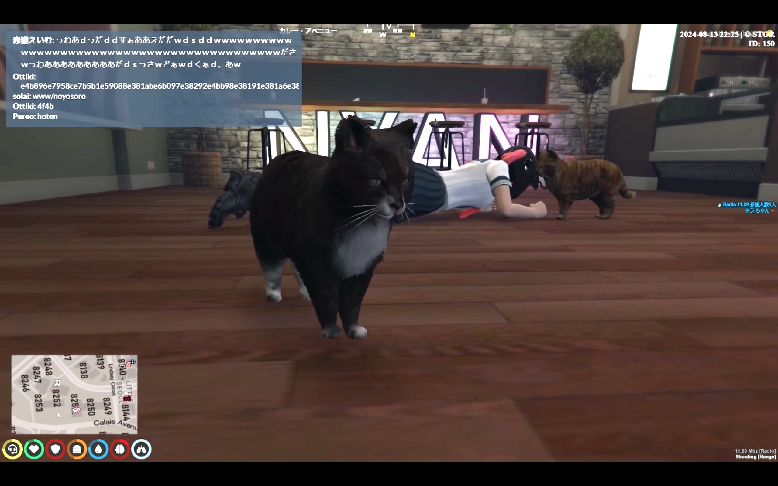 タラ ちゃん/エピソード10 - ストグラ まとめ @ウィキ | STGR wiki