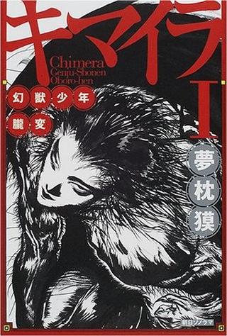 ローズウッドの-天野喜孝、「•キマイラ涅槃変」、希少な•大判画集より