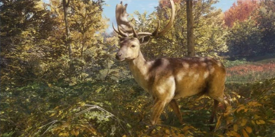 野生生物/ダマジカ - theHunter:Call of the Wild 日本語 wikiのような