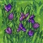 grass_02.jpeg