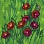 grass_01.jpeg