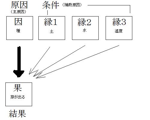 話題の行列 仏教聖典 さとりの知恵を読む 50冊セット合計100冊 仏教