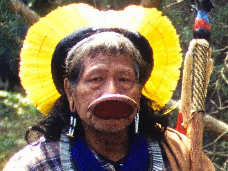 南米先住民 ウィキ リヒト Atwiki アットウィキ
