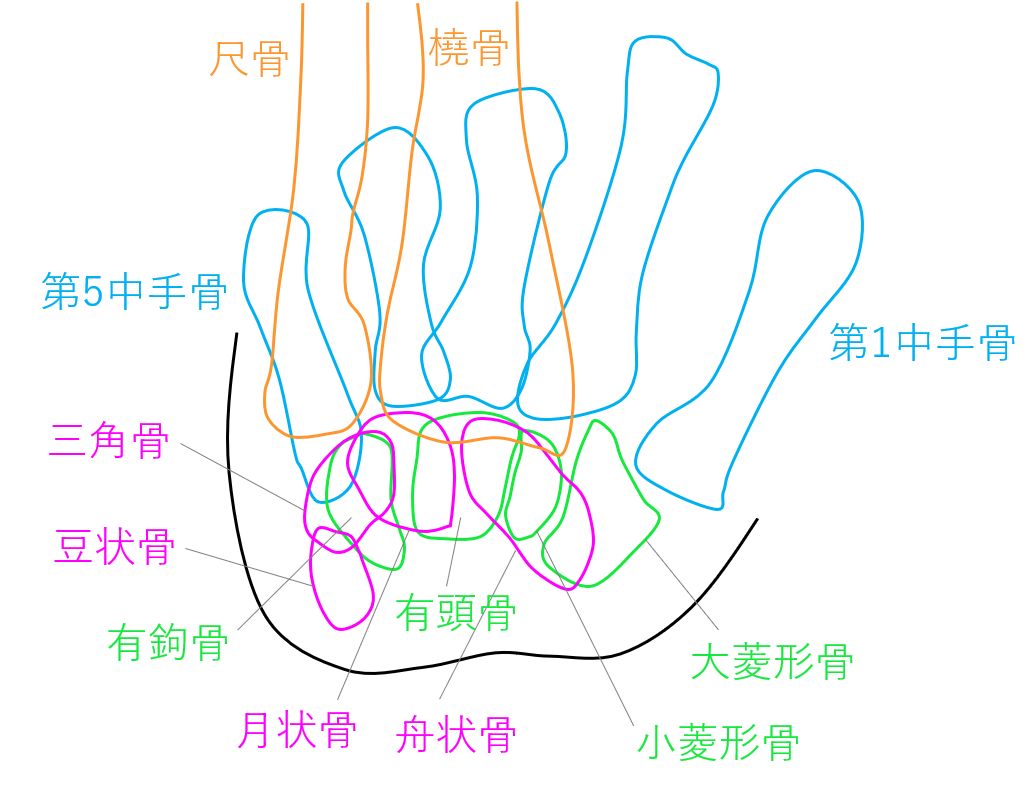 手根管撮影 一般撮影室 Atwiki アットウィキ