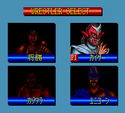 ファイヤープロレスリング2 - レトロゲームの殿堂 - atwiki