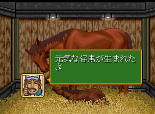 ステークスウィナー_008.png