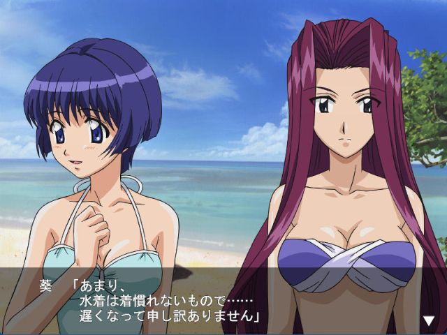 藍より青し春夏 - レトロゲームの殿堂 - atwiki（アットウィキ）