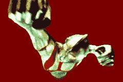 ウルトラ警備隊　モンスターアタック-0037.png