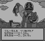 スーパーブラックバスポケット-0016.png