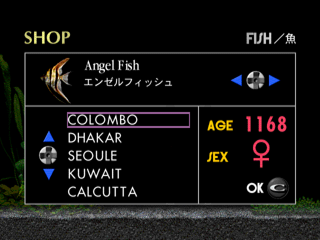 アクアゾーンエンゼルフィッシュ-3.bmp
