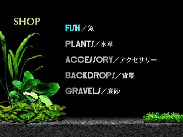 アクアゾーンブラックモーリー-3.bmp