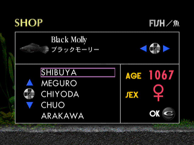 アクアゾーンブラックモーリー-4.bmp