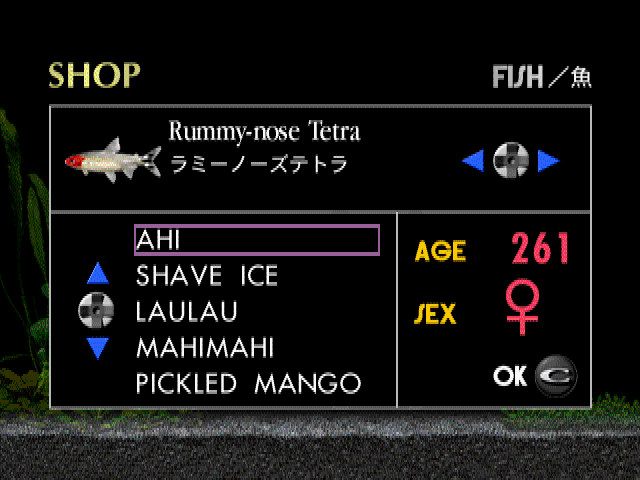 アクアゾーンラミーノーズテトラ-2.bmp
