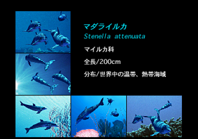 アクアワールド海美物語ss-3.bmp