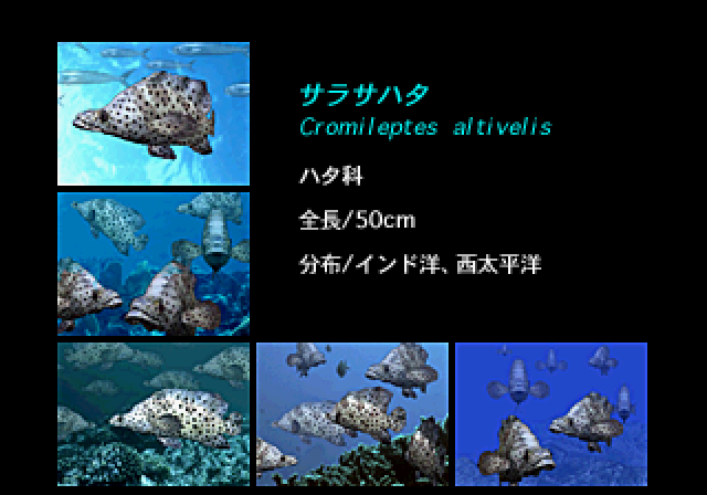 アクアワールド海美物語ss-5.bmp