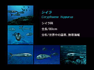 アクアワールド海美物語 - レトロゲームの殿堂 - atwiki（アットウィキ）