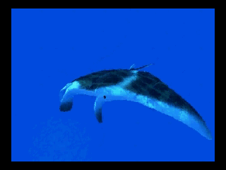 アクアワールド海美物語3do-6.png