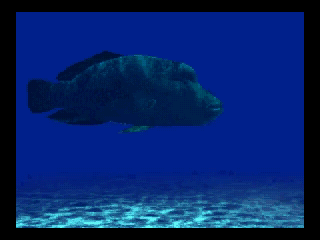 アクアワールド海美物語3do-7.png