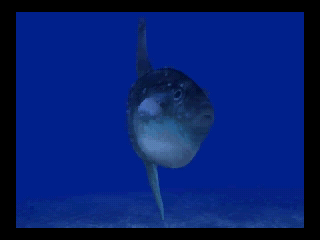 アクアワールド海美物語3do-8.png