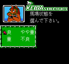 競馬シミュレーション本命-0006.png