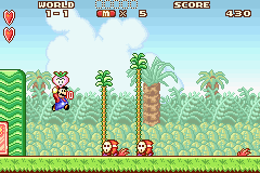 スーパーマリオアドバンス-0010.png