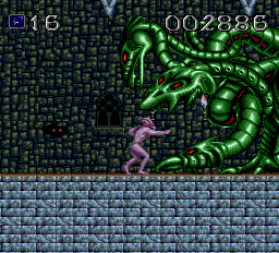 シャドーオブザビースト - レトロゲームの殿堂 - atwiki（アットウィキ）