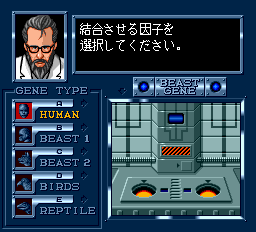 ハイパーウォーズ-0005.png
