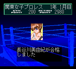 レッスルエンジェルスダブルインパクト - レトロゲームの殿堂