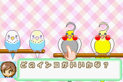 おしゃべりインコ倶楽部-0004.png