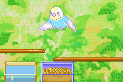 おしゃべりインコ倶楽部-0008.png