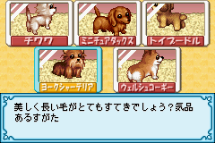 おしゃれワンコ-0004.png
