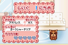 おしゃれワンコ-0006.png