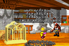 スーパードンキーコング３-0002.png