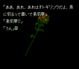 弟切草-0005.png