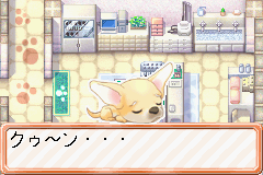 わんニャンどうぶつ病院-0009.png