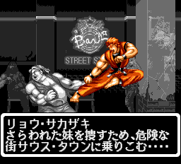 龍虎の拳pc-0001.png
