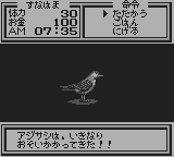 海のぬし釣り２-0005.png