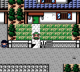 おわらいよゐこのげえむ道-0007.png