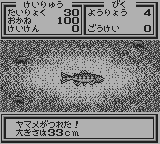 川のぬし釣り３-0015.png