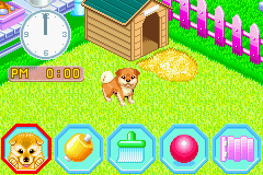 なかよしペットアドバンスシリーズ② かわいい仔犬_11.png
