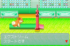 なかよしペットアドバンスシリーズ② かわいい仔犬_13.png