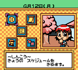 甲子園ポケット-0007.png