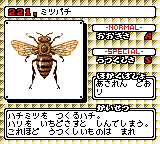 昆虫博士３-0019.png
