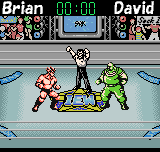 ビッグバンプロレス - レトロゲームの殿堂 - atwiki（アットウィキ）
